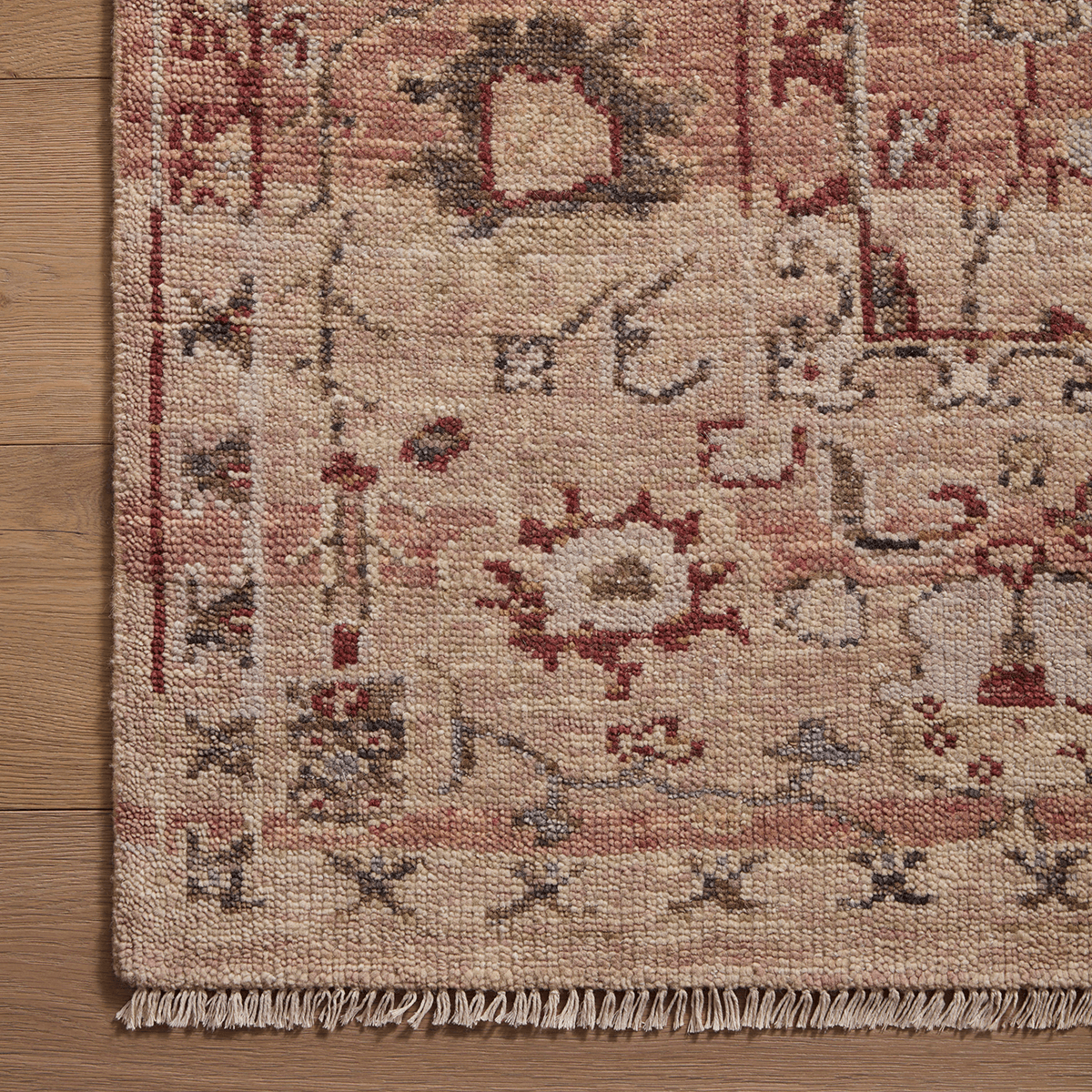 Dominic Hand Knotted Rug in Clay/Rust